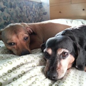 Meet your Posher, Cheryl-ann